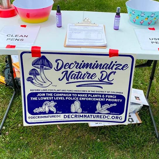 Washington D.C. despenaliza los psicodélicos naturales y Oregón la terapia con psilocibina