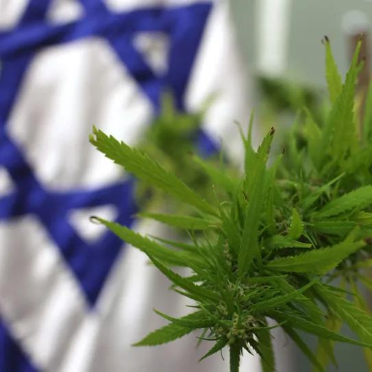 Israel se prepara para regular el uso recreativo del cannabis