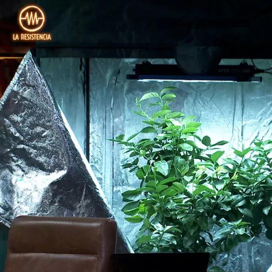 La Resistencia pone armarios de cultivo de cannabis en su escenario