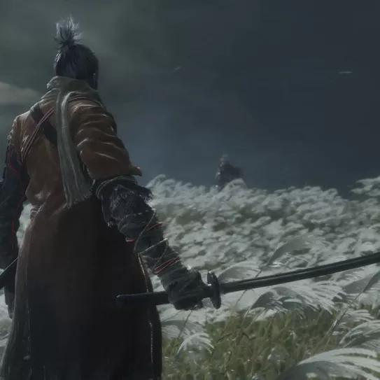 Sekiro: Shadows Die Twice