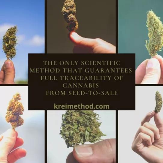 Una empresa de Tarragona patenta un método de rastreo genético para el cannabis