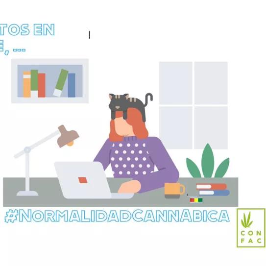 #NormalidadCannábica, la campaña para acabar con el tabú del cannabis