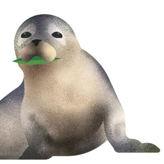 El amor a maría en tiempos de pandemia 