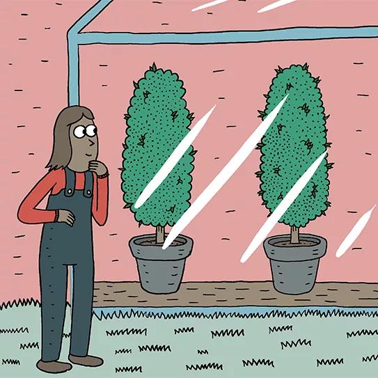 Ocho pasos para tener un cultivo invernal