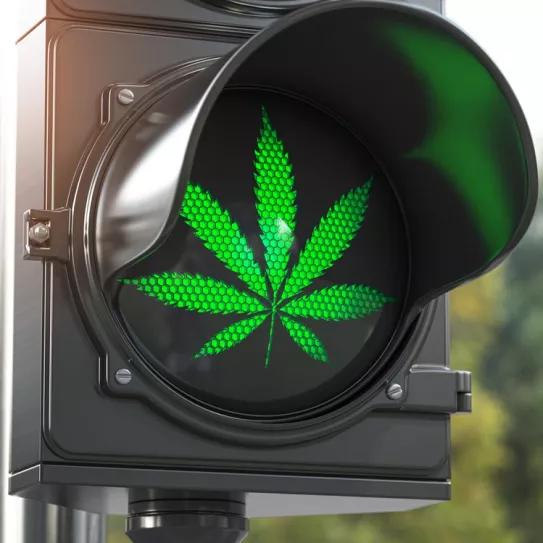 El uso de CBD no afecta a la conducción, y el THC afecta moderadamente