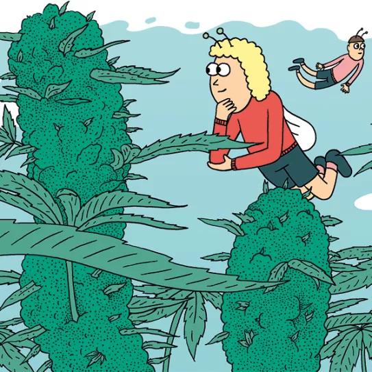 Nueve consejos para fertilizar las plantas 