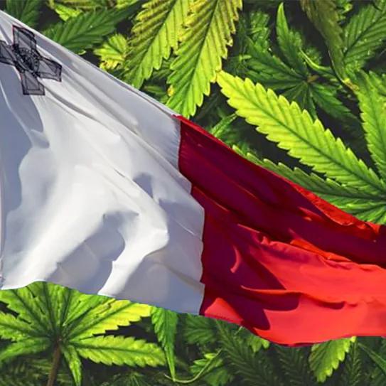 Malta adjudica la primera licencia de cultivo de cannabis para pacientes y producción nacional