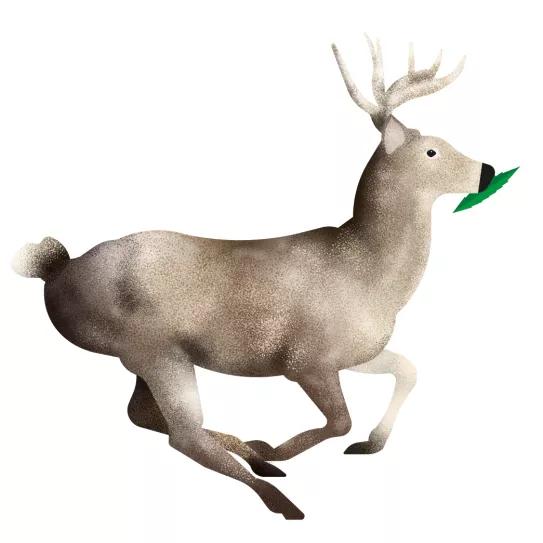 2020: una de cal por las que van de arena 