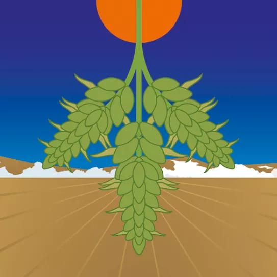 Comienza el año gregoriano 