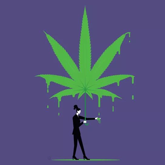 El CBD no es un narcótico Editorial 277