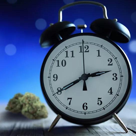 El cannabis es una solución prometedora contra el insomnio