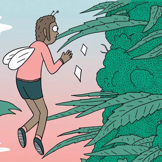 Diez claves para tener éxito en el cultivo de exterior 