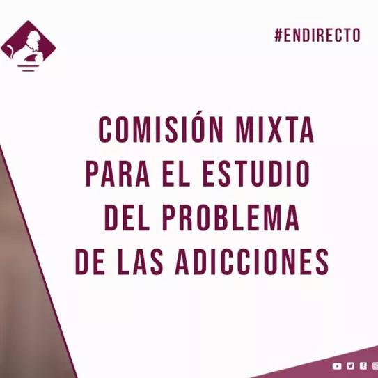 Comisión Mixta para el Estudio de los Problemas de las Adicciones