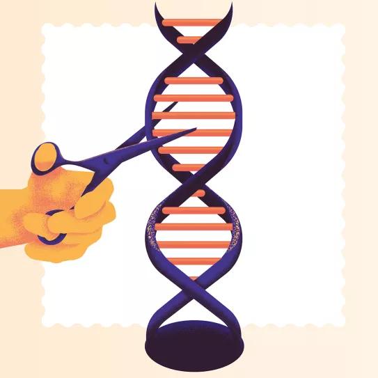 El futuro de las drogas (más un hasta luego). Por José Carlos Bouso 