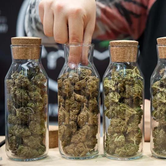 El Supremo pone en duda la regulación de clubs en Barcelona