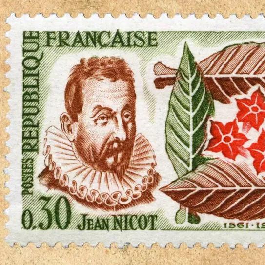 El francés que llevó el tabaco a Francia, da nombre a la nicotina y al género de especies