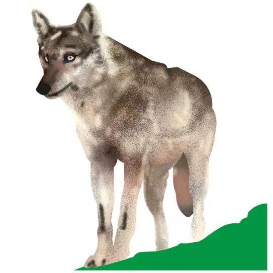 Medidas 109 y 110 ganan en Oregón 