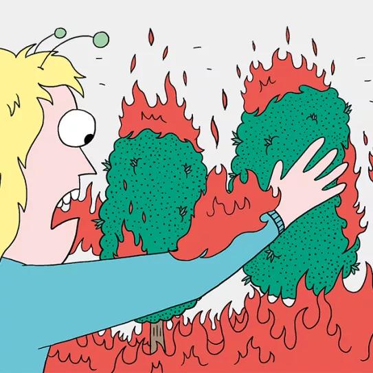 Los accidentes que pueden costar muy caros en un ‘indoor’ y cómo evitarlos 