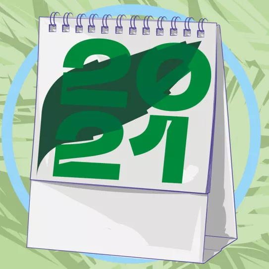 ¿Cuándo es mejor sembrar? 