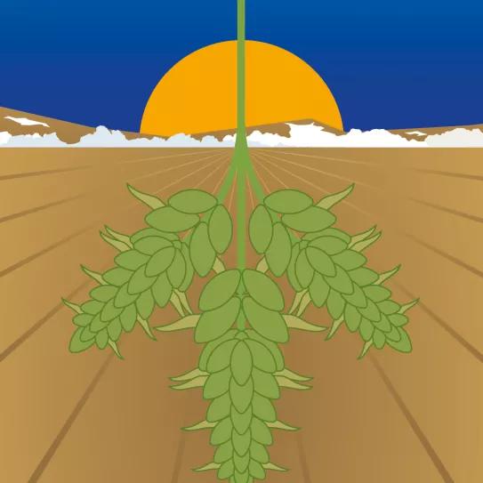 Lunario de febrero del 2021 