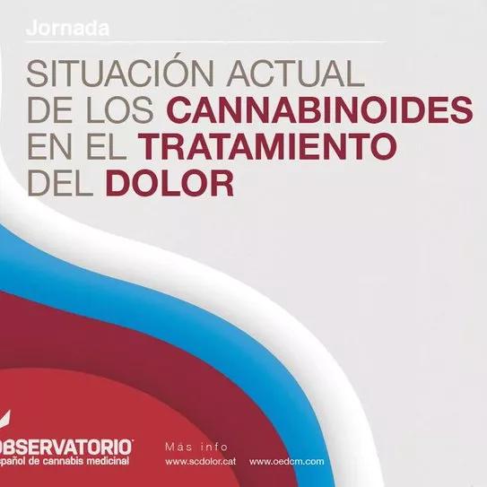 Situació actual dels cannabinoides en el tractament del Dolor