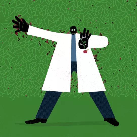 ‘Cherry picking’ o cómo luchar contra molinos de viento 