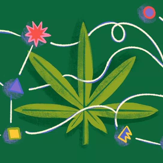 Los usuarios de cannabis parecen tener ideas empresariales más originales pero menos factibles