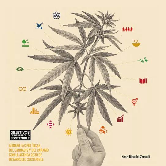 El cannabis puede ser la clave para lograr los objetivos de desarrollo sostenible de la ONU