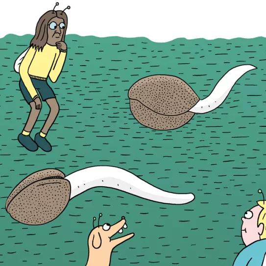 Diez consejos para la germinación y el primer crecimiento 