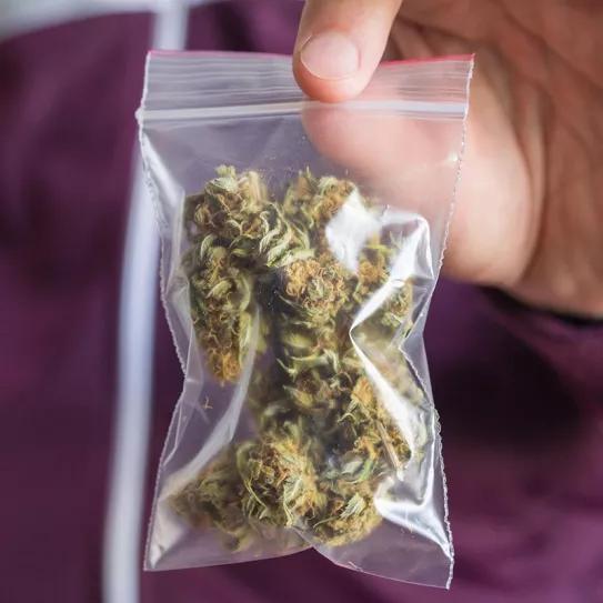 El 60% de la marihuana callejera de Madrid no es apta para consumo según un estudio