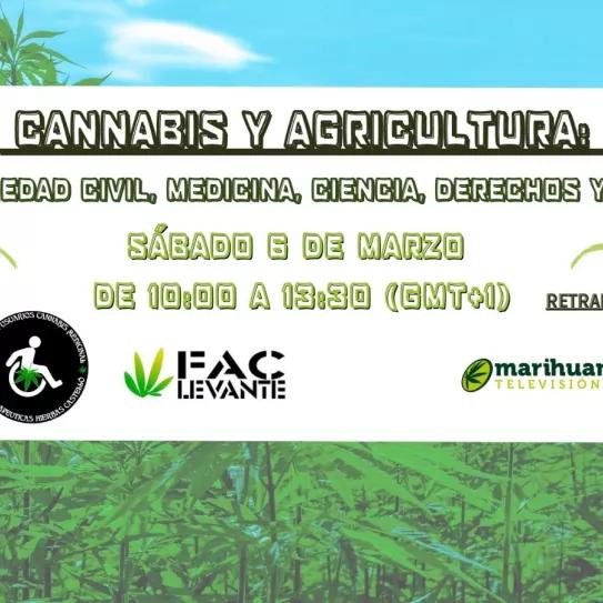 Dos asociaciones de cannabis terapéutico organizan una jornada formativa en Villa Real