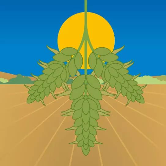 Lunario de marzo del 2021 