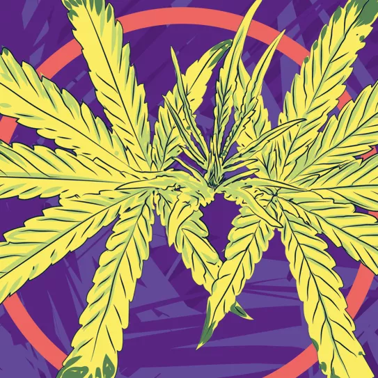 Demasiadas hojas amarillas 