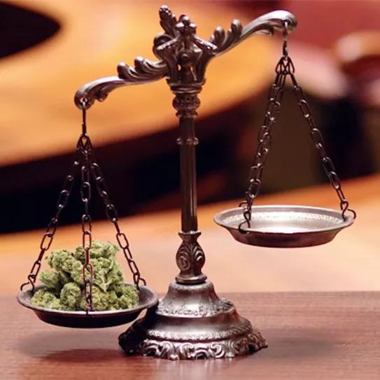 Absuelven al presidente de un club de cannabis en Valencia por un registro sin permiso