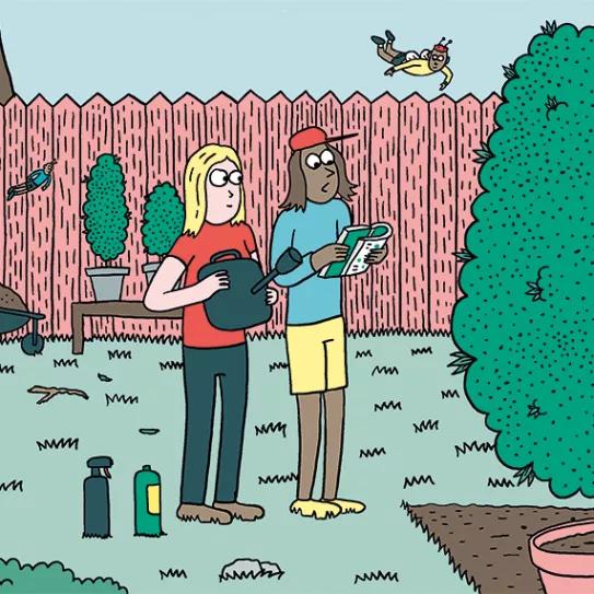 Los diez pasos básicos para la primera cosecha 