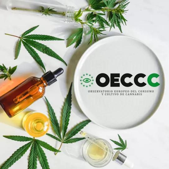 El OECCC cuestiona la interpretación legal de la Agencia del Medicamento sobre el CBD
