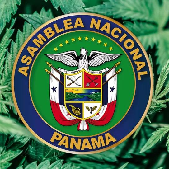 La Asamblea de Panamá retoma la discusión sobre el cannabis pero la envía a una comisión