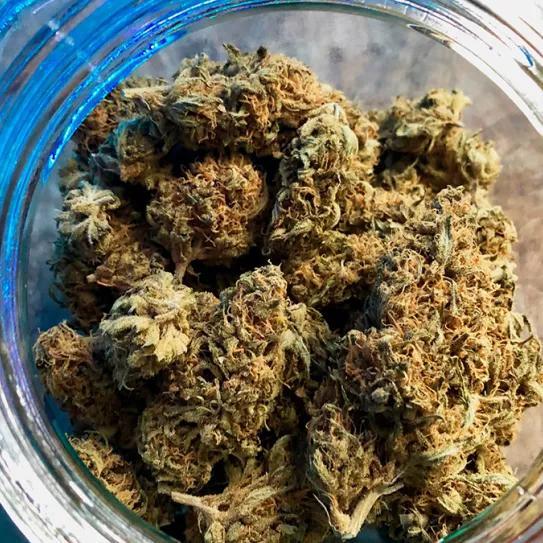 El Ministerio del Interior confirma que un club llevado a juicio estaba debidamente registrado 