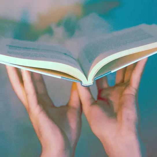 Seis grandes libros sobre cannabis, psicodelia y otras drogas