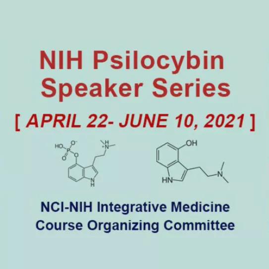 Una agencia federal de salud de EE UU organiza unas jornadas sobre los hongos psilocibios