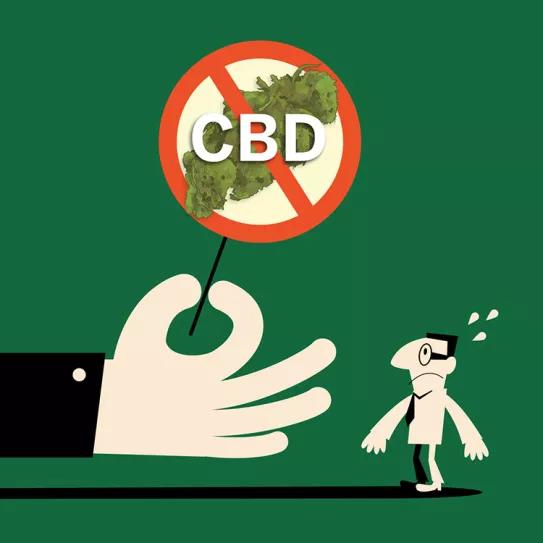 El gobierno más progresista de la historia reciente se justifica para prohibir las flores de plantas no psicoactivas basándose en una ley franquista aún vigente. ¿Cuanto tiempo van a esperar para derogar esta ley?