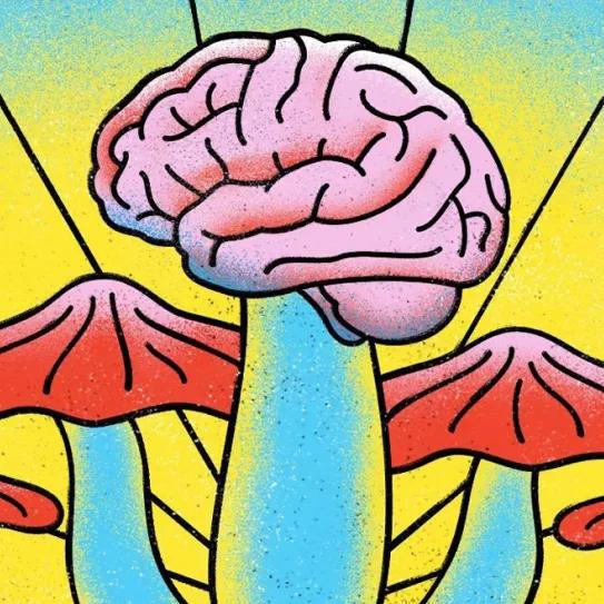 Un estudio con psilocibina concluye que es tan buen antidepresivo como el escitalopram