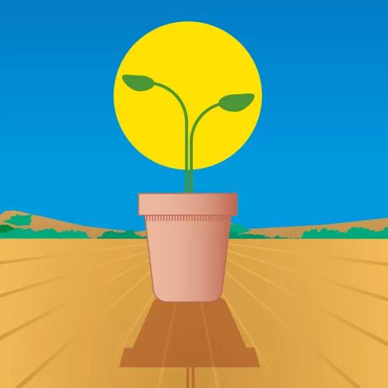 Lunario de mayo de 2021