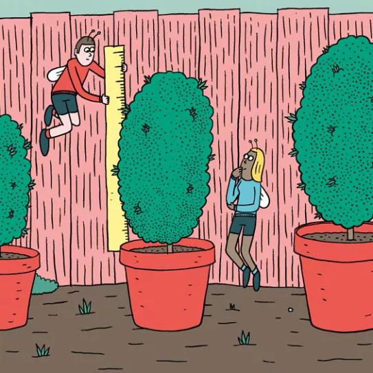 Fase vegetativa del cannabis: diez claves esenciales para el crecimiento