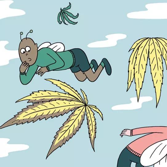 Los seis problemas más comunes del cultivo y sus soluciones 