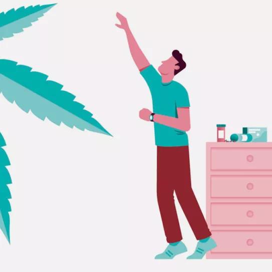 El futuro del cannabis medicinal en España (III: Formas de acceso)