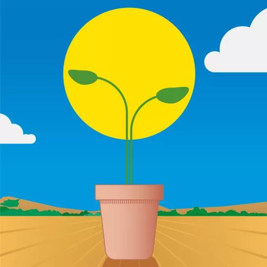 Lunario de junio del 2021 La exuberancia verde 