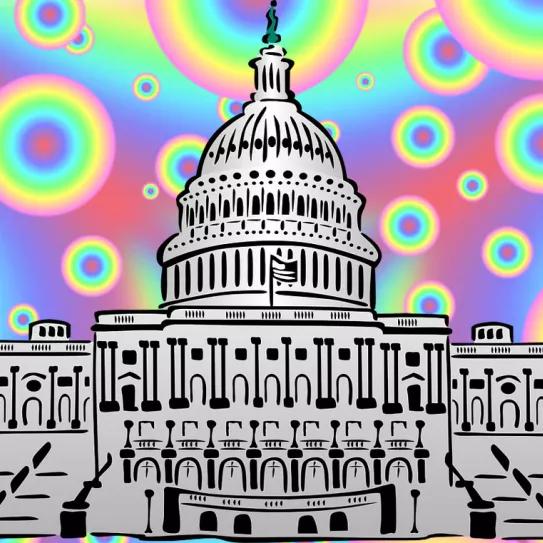 Un alto funcionario de EE UU dice que el Gobierno debería atender a las políticas de los psicodélicos