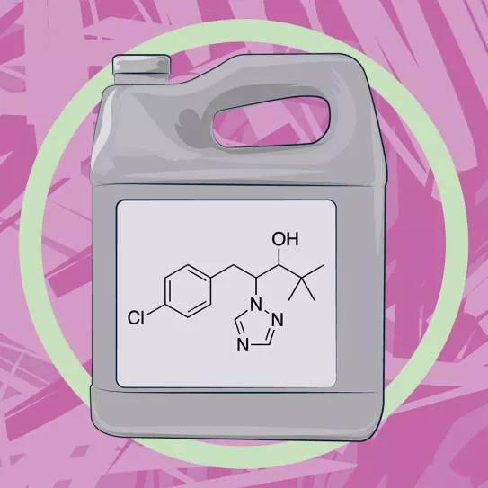 La verdad sobre el paclobutrazol 