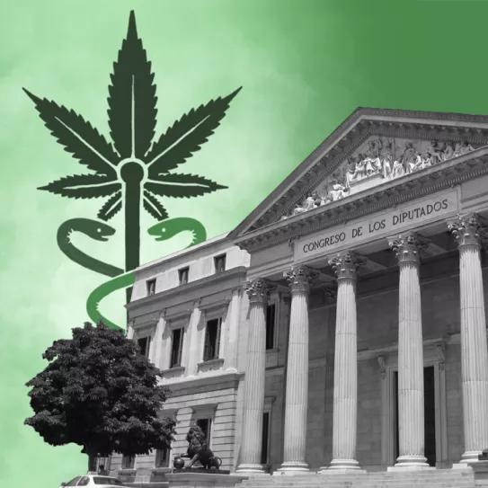 El Congreso vota mañana la creación de la subcomisión para el cannabis medicinal en España